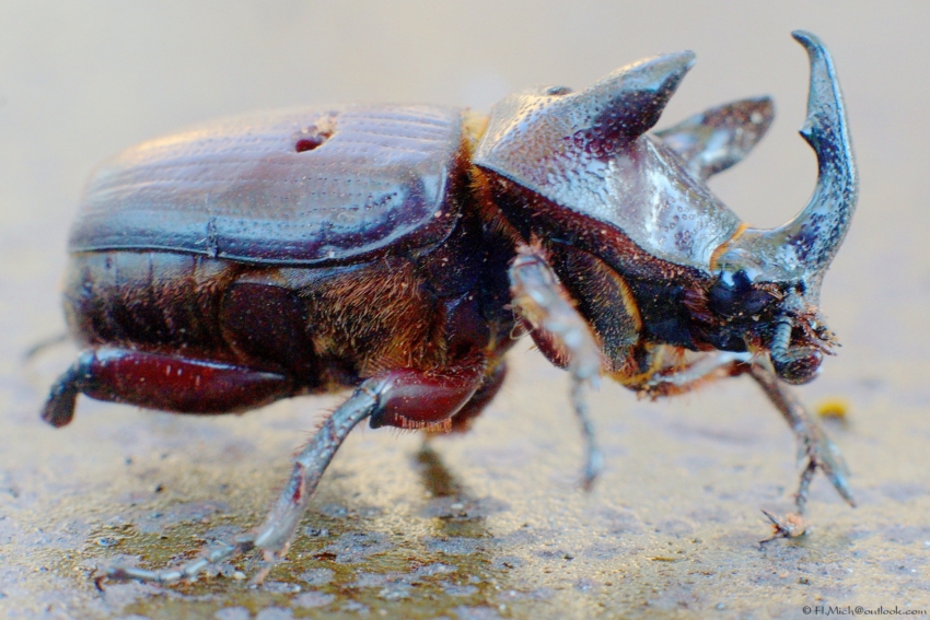 Studio-One.Art.br Repo Fotografia em Rio Preto SP/Brasil