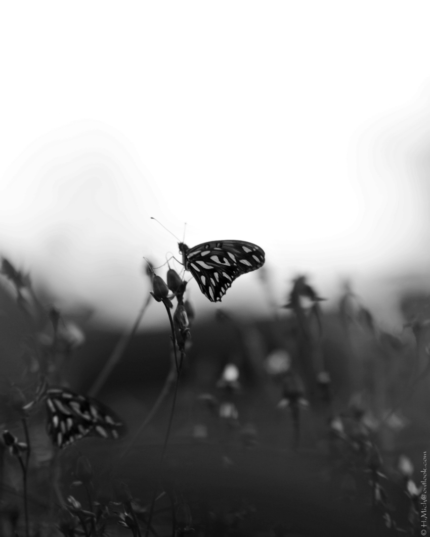 Studio-One.Art.br Repo Fotografia em Rio Preto SP/Brasil