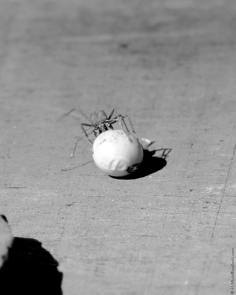 Studio-One.Art.br Repo Fotografia em Rio Preto SP/Brasil