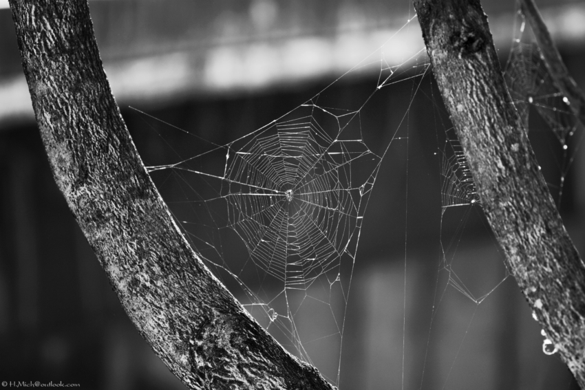 Studio-One.Art.br Repo Fotografia em Rio Preto SP/Brasil