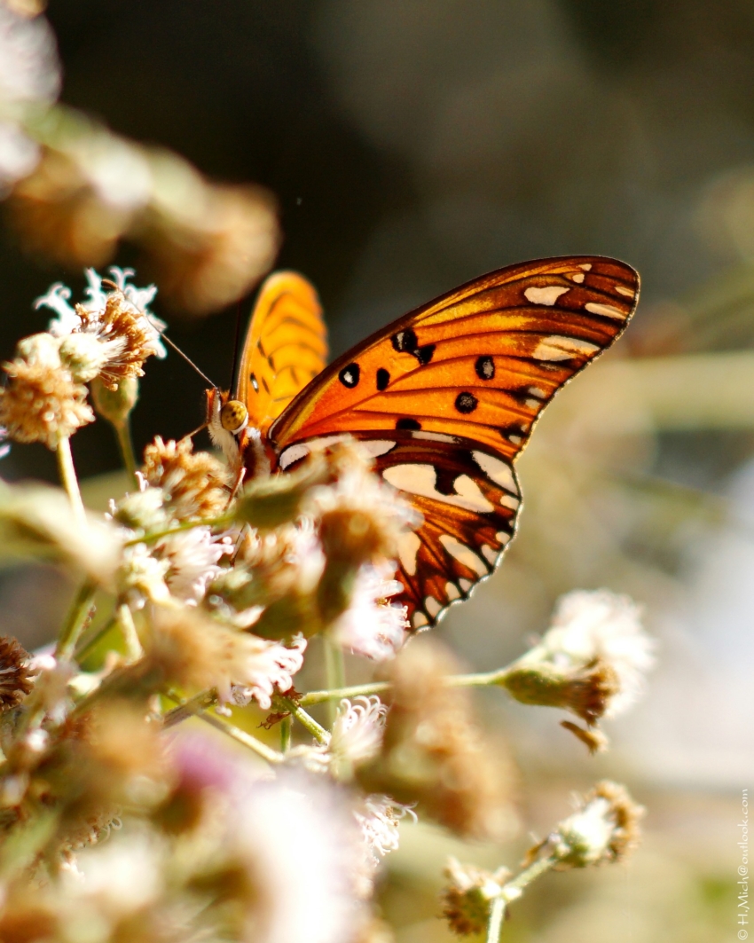Studio-One.Art.br Repo Fotografia em Rio Preto SP/Brasil