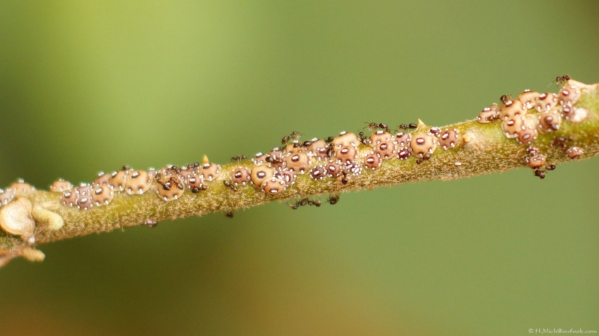 Studio-One.Art.br Repo Fotografia em Rio Preto SP/Brasil