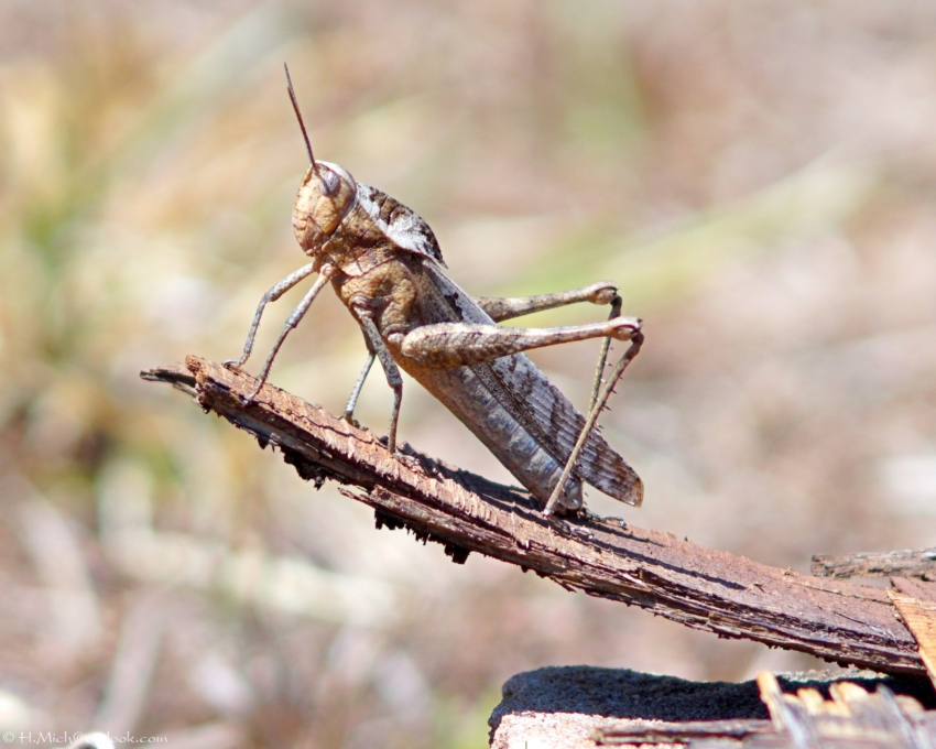 Studio-One.Art.br Repo Fotografia em Rio Preto SP/Brasil