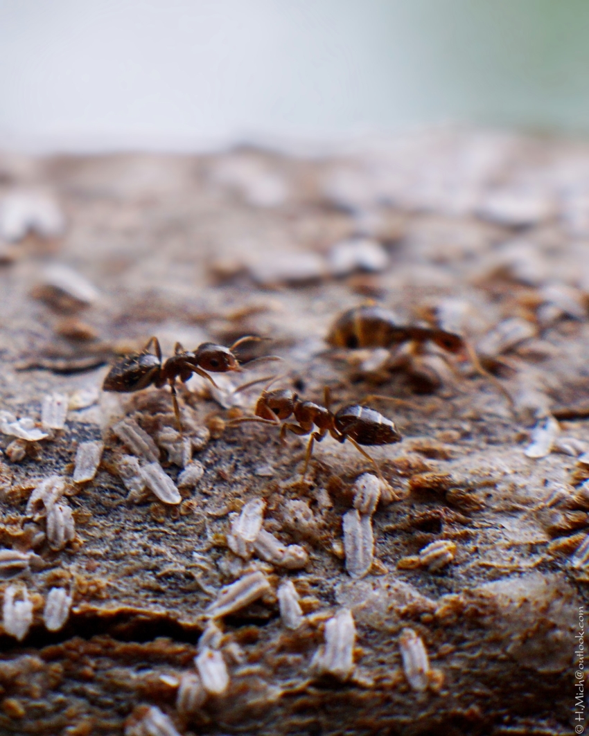 Studio-One.Art.br Repo Fotografia em Rio Preto SP/Brasil