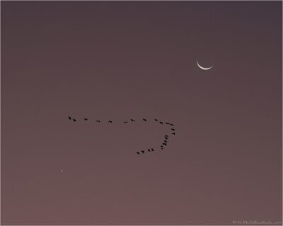 2022 06 16(209)