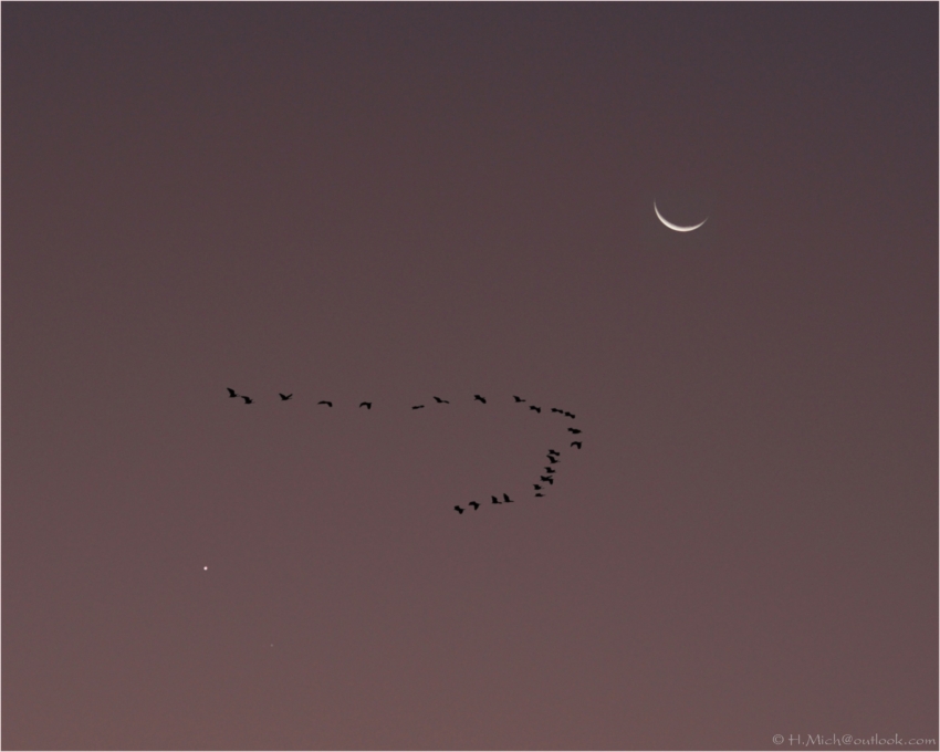 Studio-One.Art.br Repo Fotografia em Rio Preto SP/Brasil