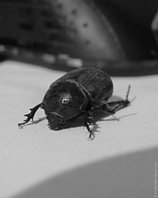 2022 06 16(209)