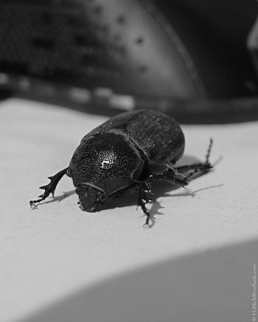 Studio-One.Art.br Repo Fotografia em Rio Preto SP/Brasil