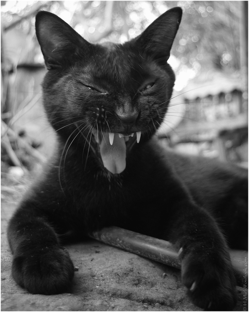 Studio-One.Art.br Repo Fotografia em Rio Preto SP/Brasil