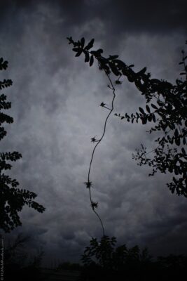 2022 06 16(21)