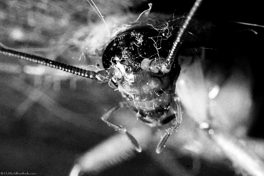 Studio-One.Art.br Repo Fotografia em Rio Preto SP/Brasil