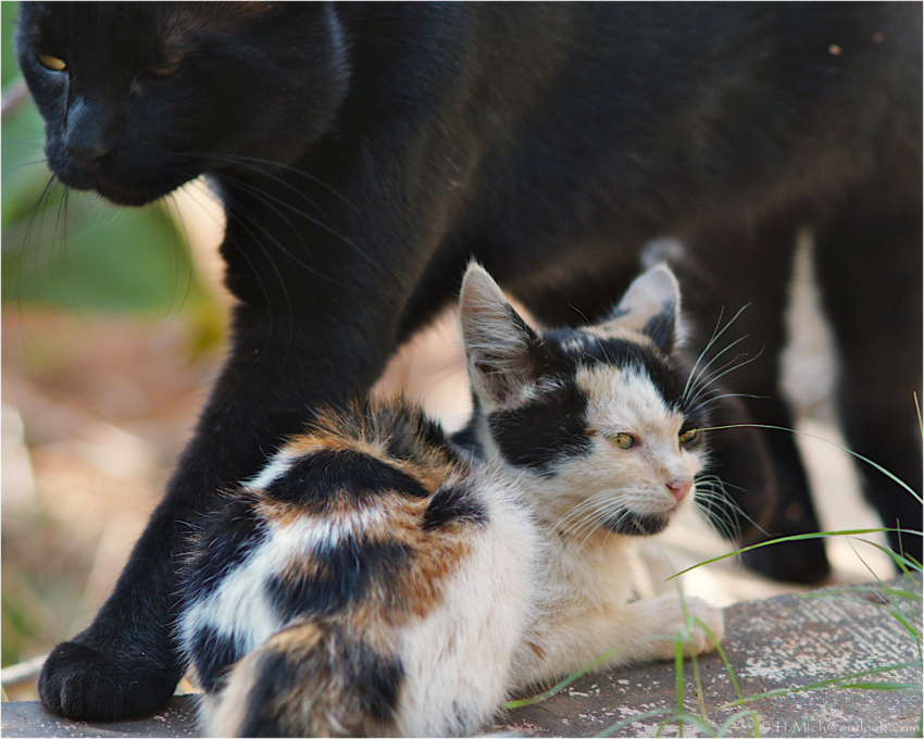 Studio-One.Art.br Repo Fotografia em Rio Preto SP/Brasil