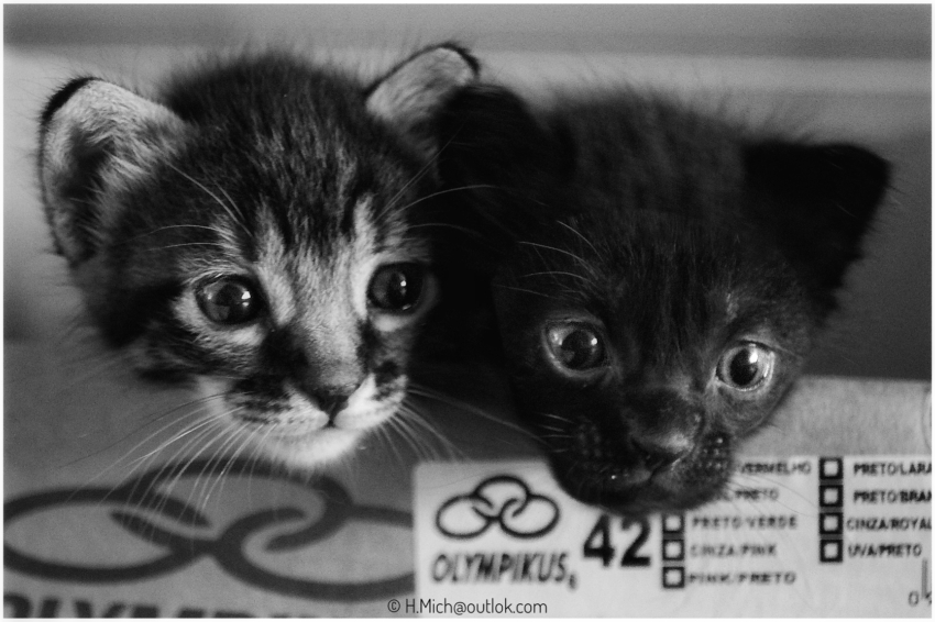 Studio-One.Art.br Repo Fotografia em Rio Preto SP/Brasil