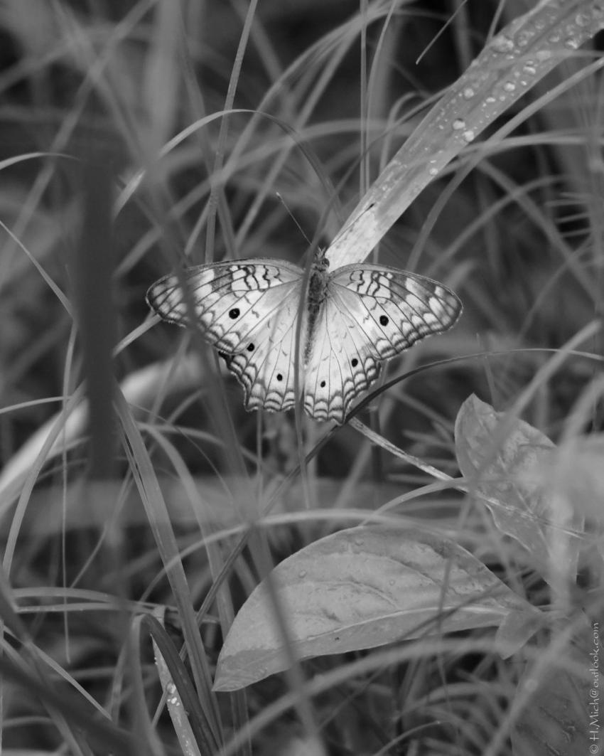 Studio-One.Art.br Repo Fotografia em Rio Preto SP/Brasil