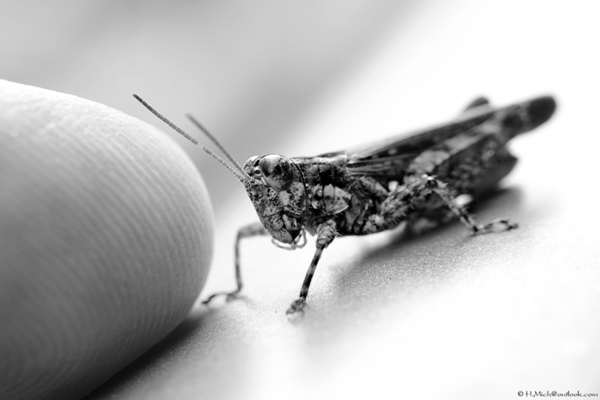 Studio-One.Art.br Repo Fotografia em Rio Preto SP/Brasil