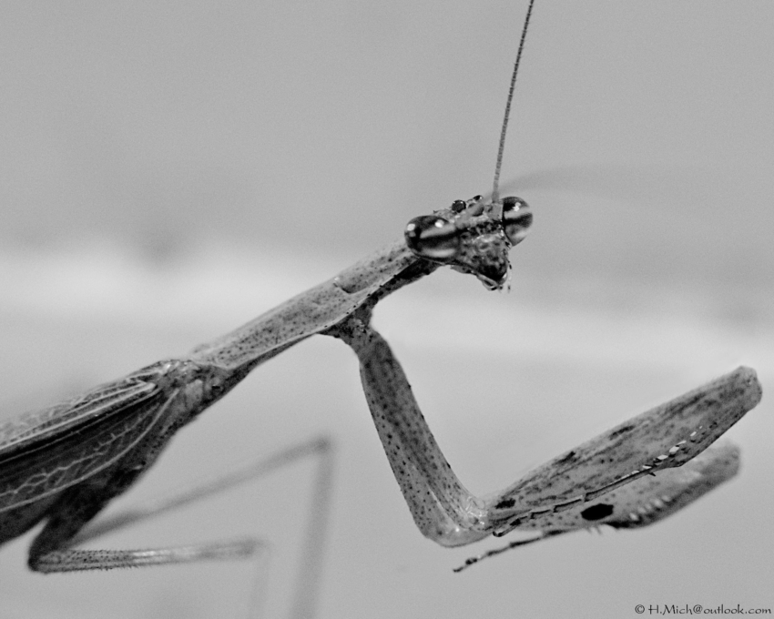 Studio-One.Art.br Repo Fotografia em Rio Preto SP/Brasil