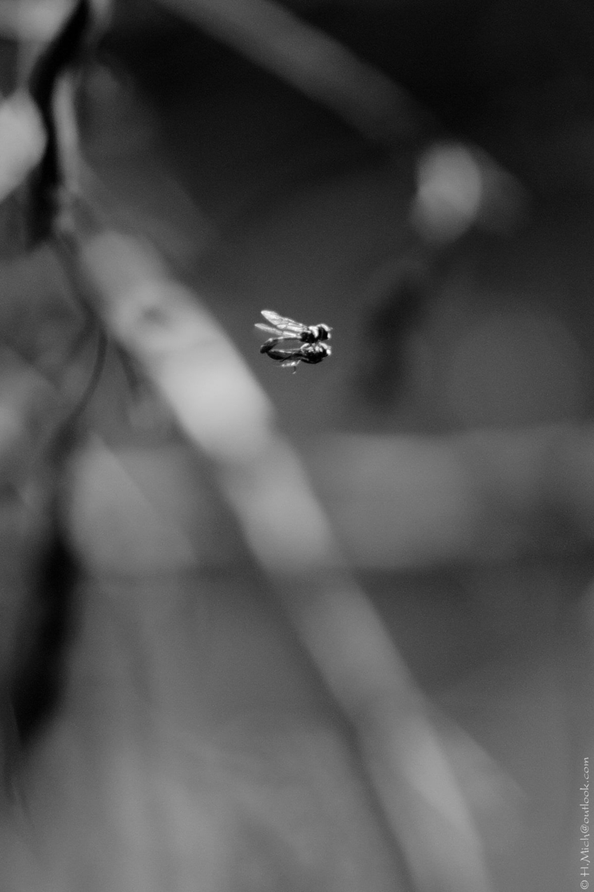 Studio-One.Art.br Repo Fotografia em Rio Preto SP/Brasil