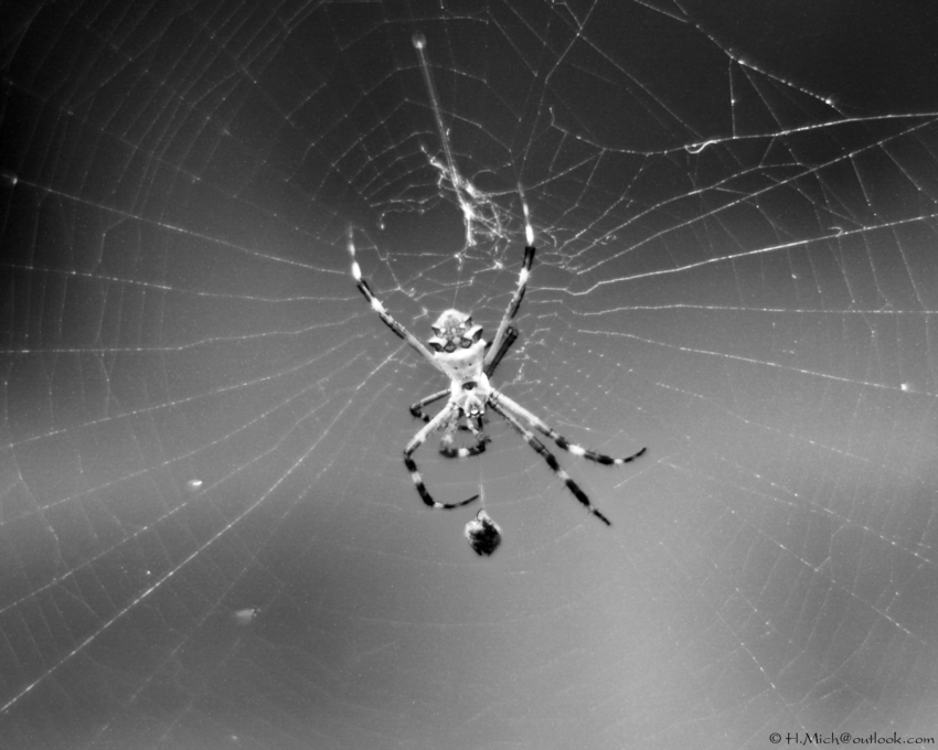 Studio-One.Art.br Repo Fotografia em Rio Preto SP/Brasil