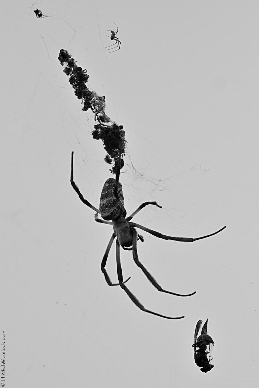 Studio-One.Art.br Repo Fotografia em Rio Preto SP/Brasil