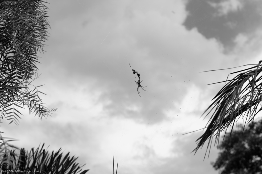 Studio-One.Art.br Repo Fotografia em Rio Preto SP/Brasil