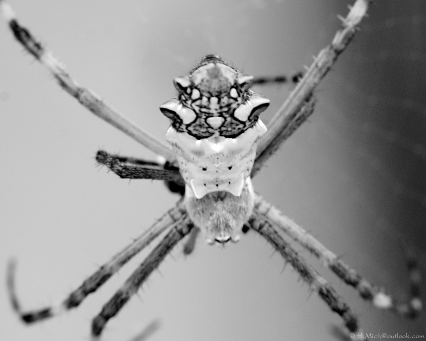 Studio-One.Art.br Repo Fotografia em Rio Preto SP/Brasil