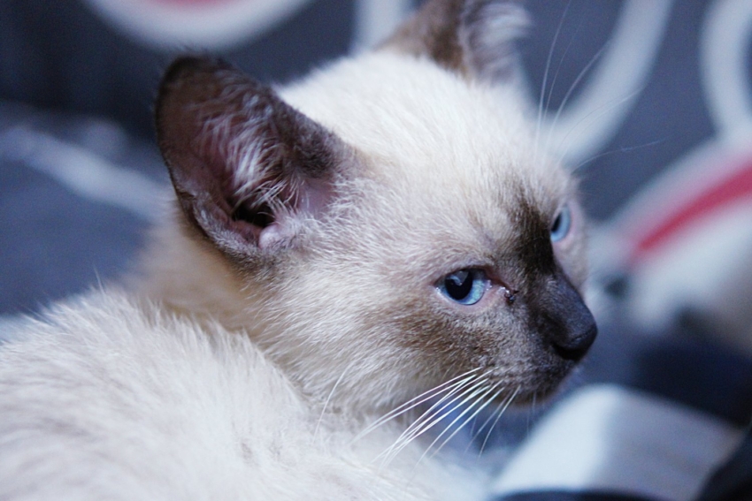 Studio-One.Art.br Repo Fotografia em Rio Preto SP/Brasil