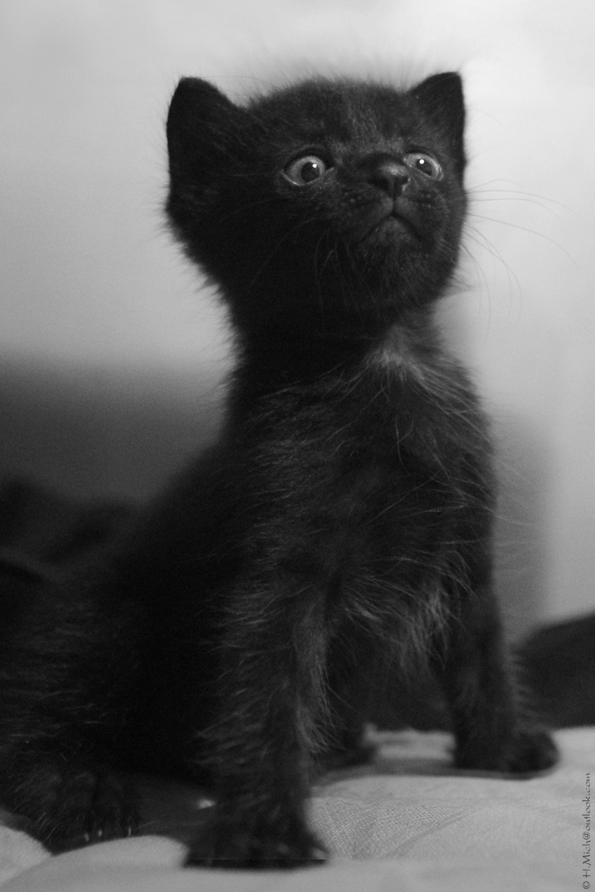 Studio-One.Art.br Repo Fotografia em Rio Preto SP/Brasil