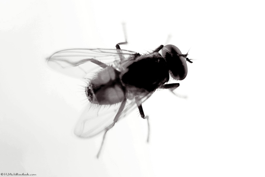 Studio-One.Art.br Repo Fotografia em Rio Preto SP/Brasil