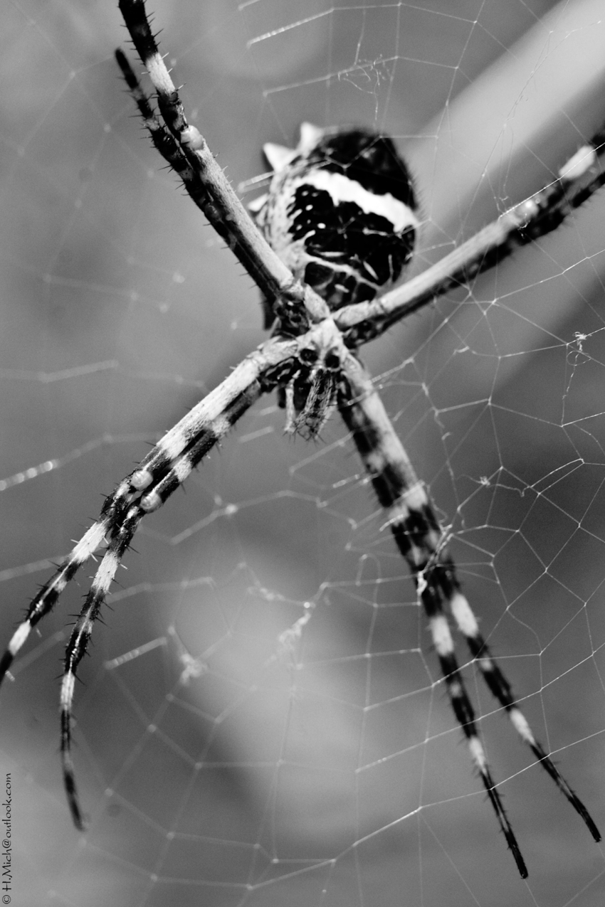 Studio-One.Art.br Repo Fotografia em Rio Preto SP/Brasil