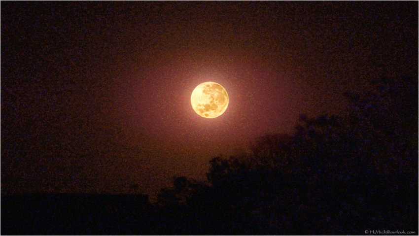 Studio-One.Art.br Repo Fotografia em Rio Preto SP/Brasil