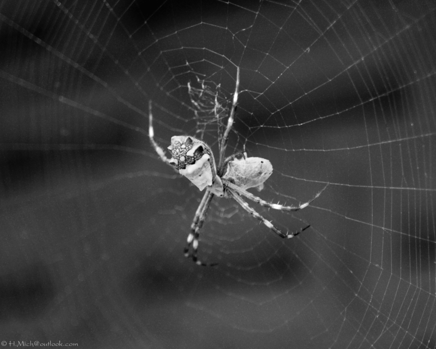 Studio-One.Art.br Repo Fotografia em Rio Preto SP/Brasil