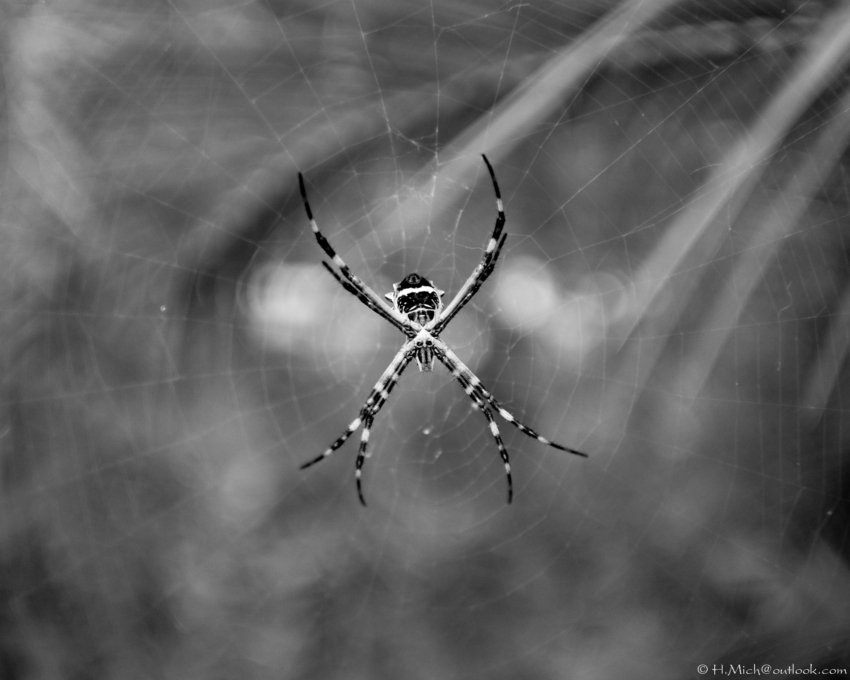 Studio-One.Art.br Repo Fotografia em Rio Preto SP/Brasil