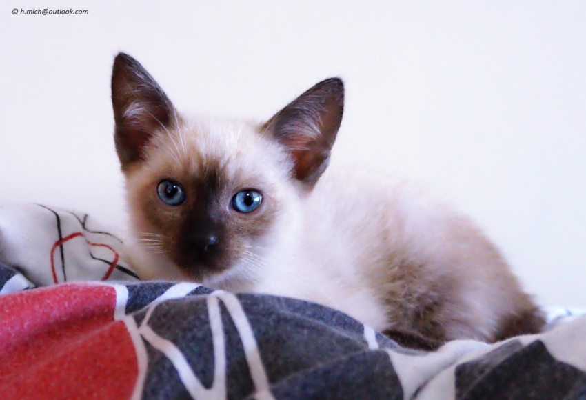 Studio-One.Art.br Repo Fotografia em Rio Preto SP/Brasil