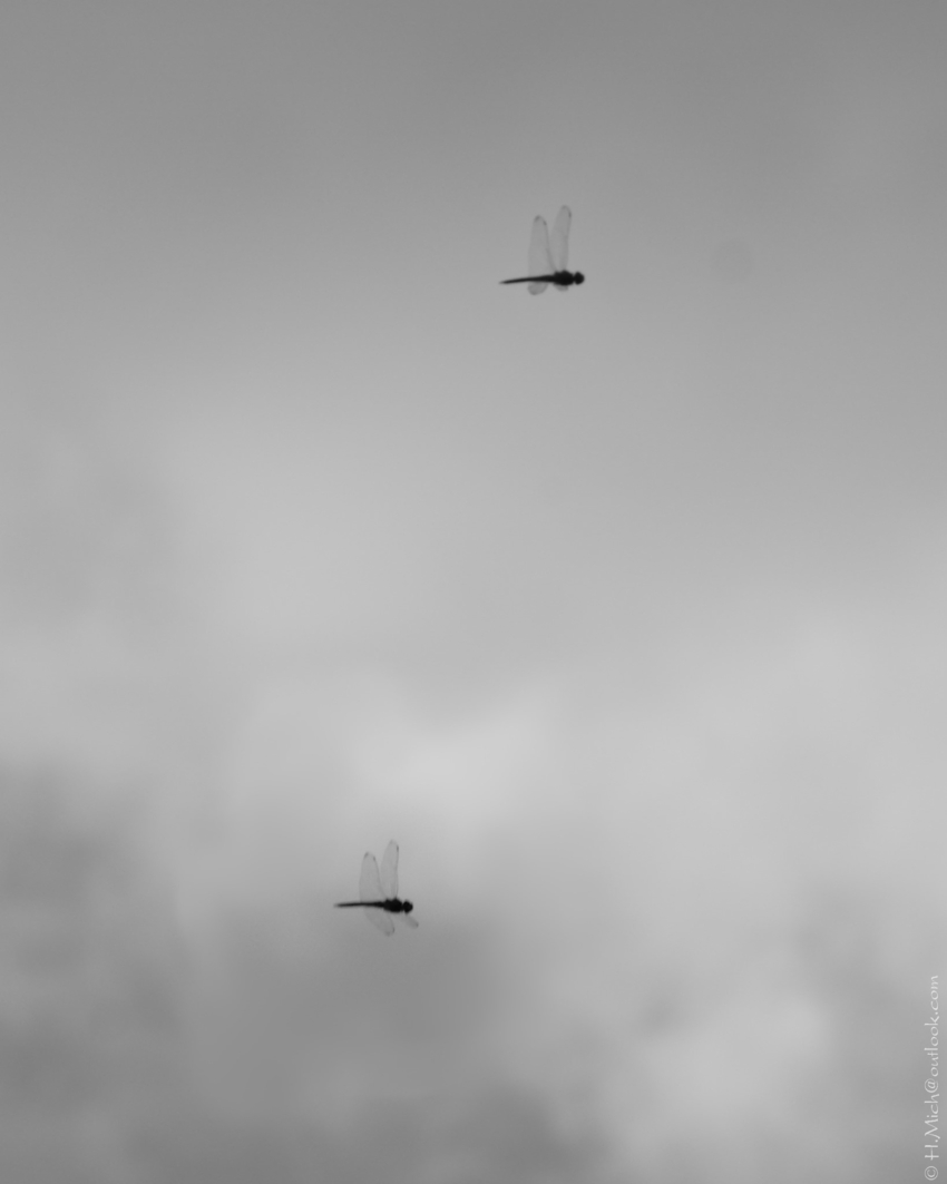 Studio-One.Art.br Repo Fotografia em Rio Preto SP/Brasil