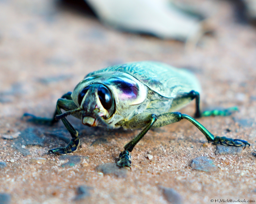 Studio-One.Art.br Repo Fotografia em Rio Preto SP/Brasil