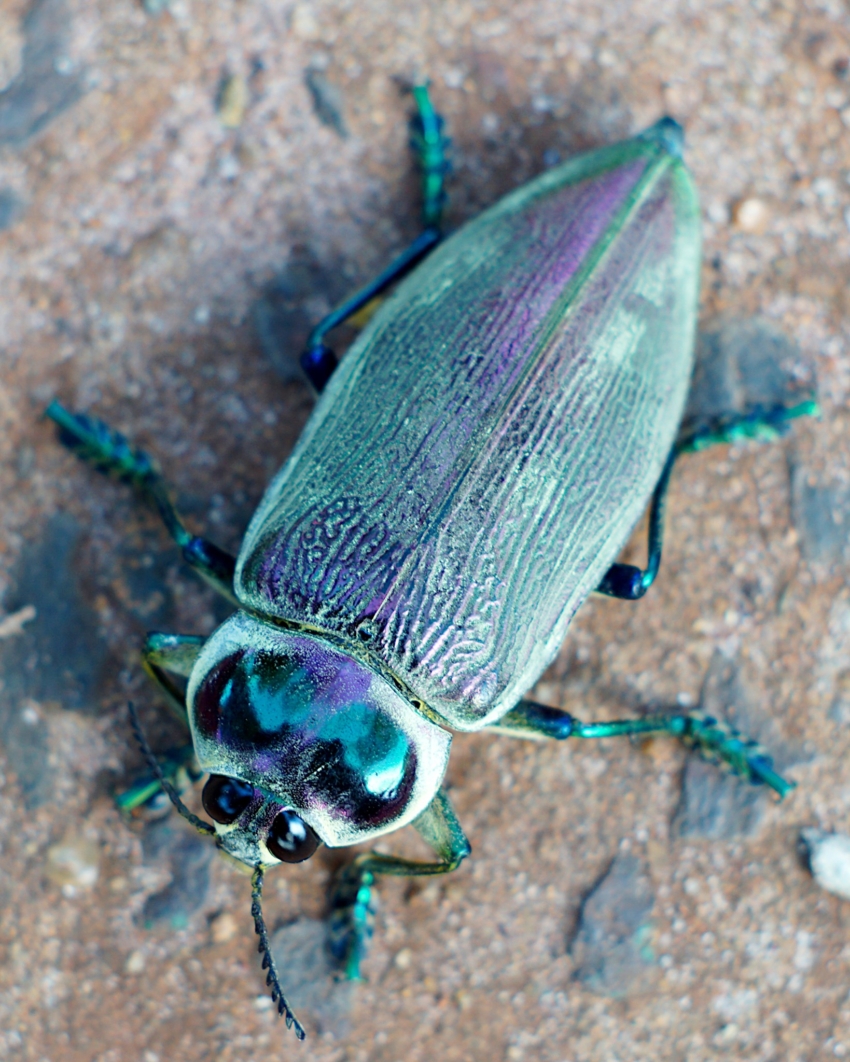 Studio-One.Art.br Repo Fotografia em Rio Preto SP/Brasil