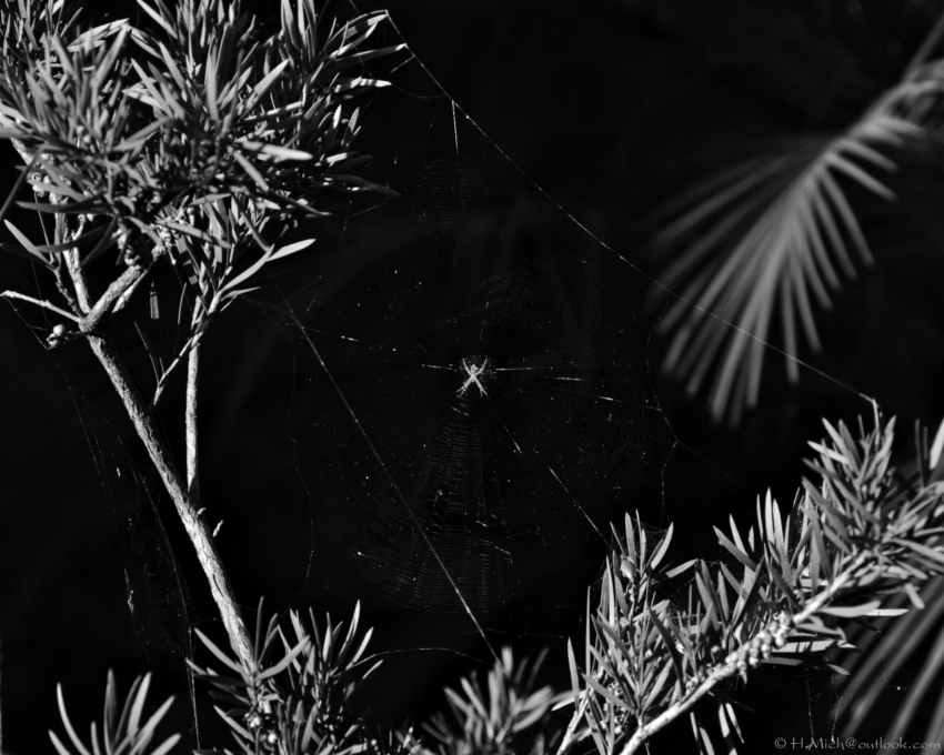 Studio-One.Art.br Repo Fotografia em Rio Preto SP/Brasil