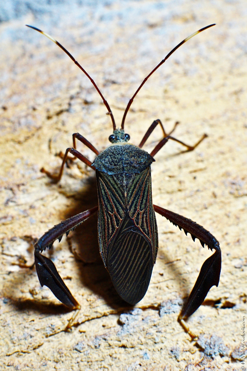 Studio-One.Art.br Repo Fotografia em Rio Preto SP/Brasil