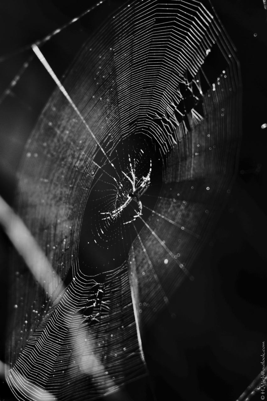 Studio-One.Art.br Repo Fotografia em Rio Preto SP/Brasil