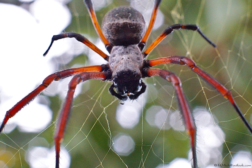 Studio-One.Art.br Repo Fotografia em Rio Preto SP/Brasil