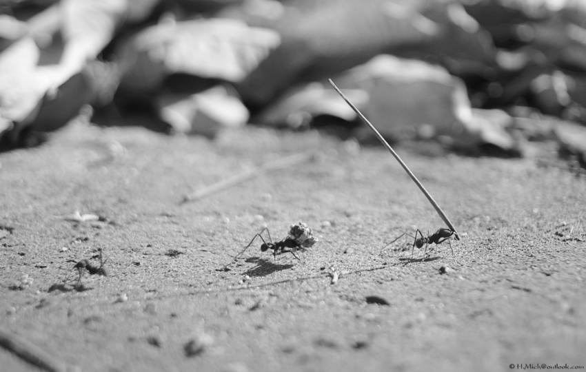 Studio-One.Art.br Repo Fotografia em Rio Preto SP/Brasil