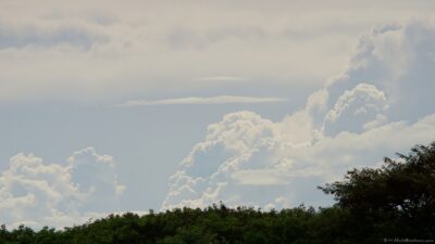 2022 06 16(23)