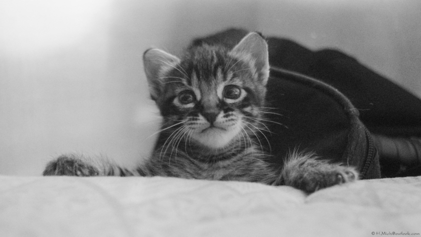 Studio-One.Art.br Repo Fotografia em Rio Preto SP/Brasil