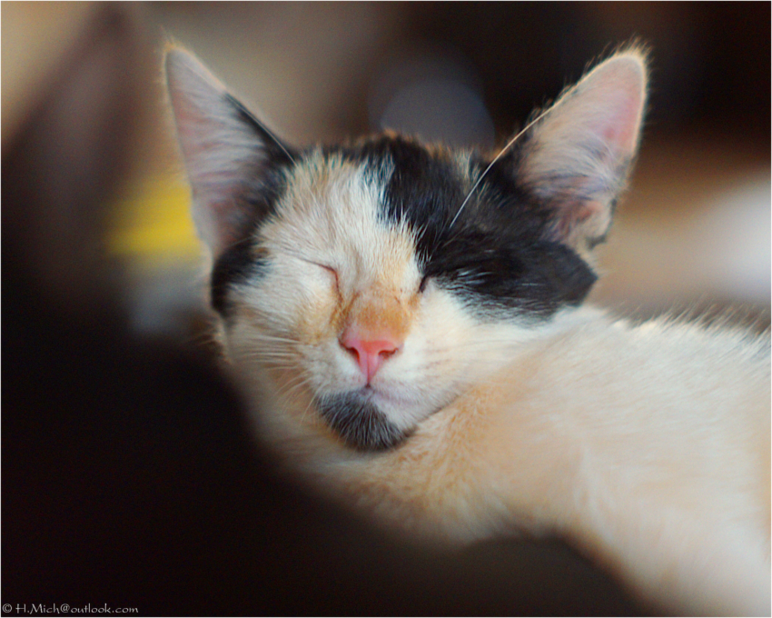 Studio-One.Art.br Repo Fotografia em Rio Preto SP/Brasil