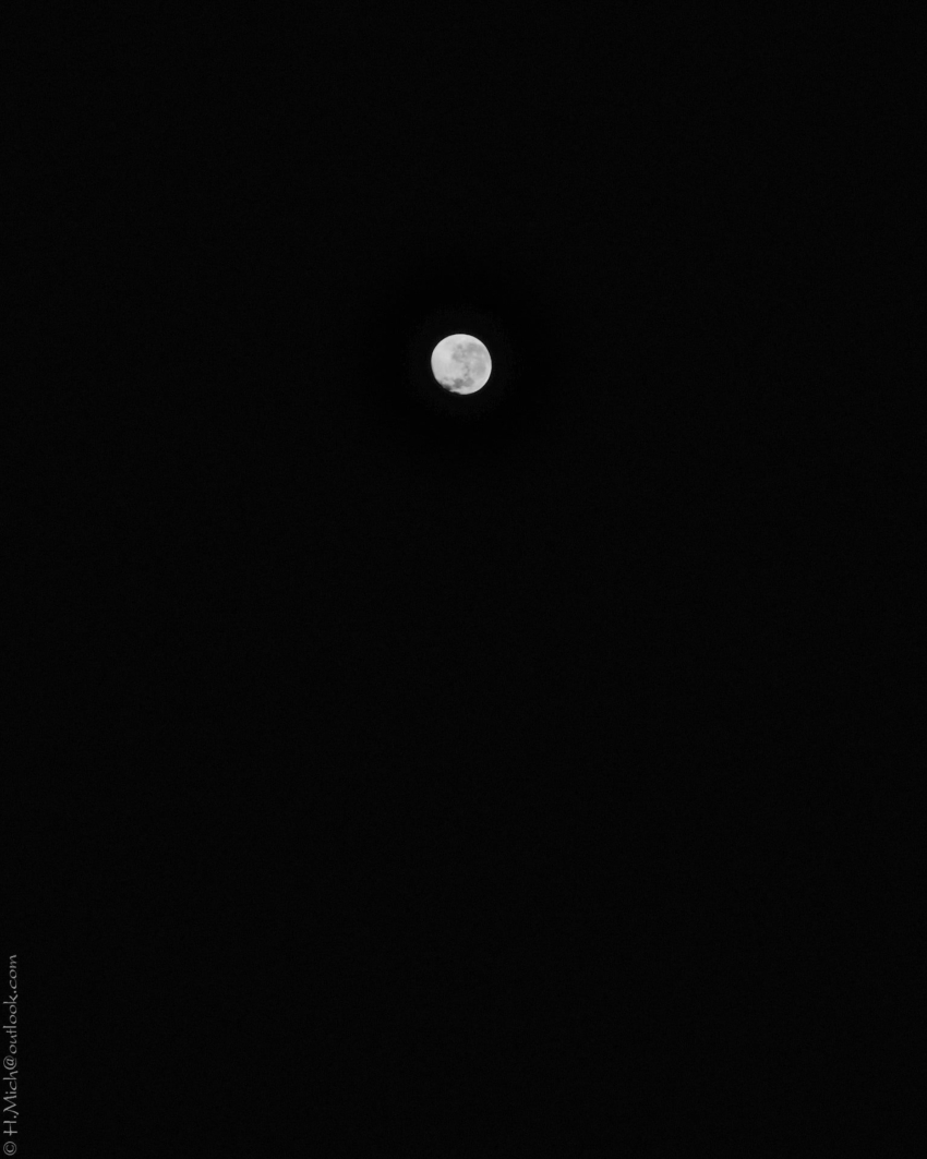 Studio-One.Art.br Repo Fotografia em Rio Preto SP/Brasil