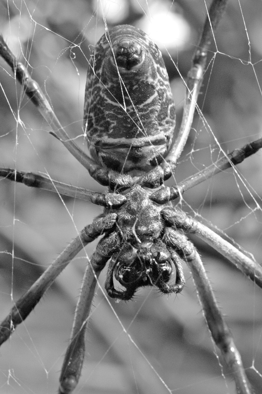 Studio-One.Art.br Repo Fotografia em Rio Preto SP/Brasil