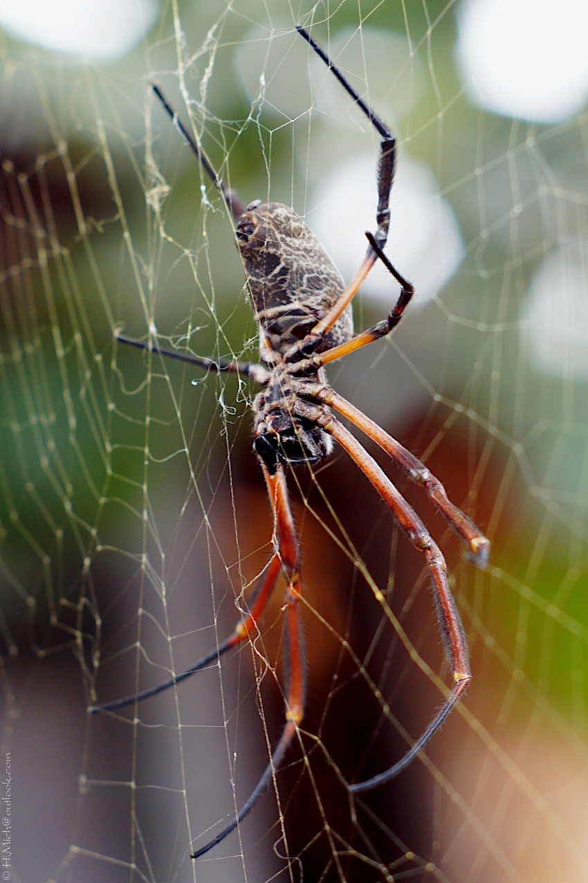 Studio-One.Art.br Repo Fotografia em Rio Preto SP/Brasil