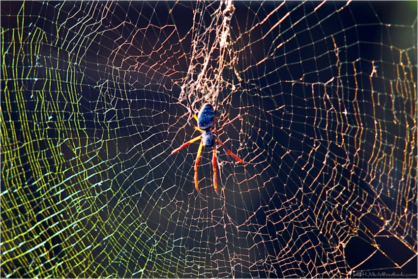 Studio-One.Art.br Repo Fotografia em Rio Preto SP/Brasil