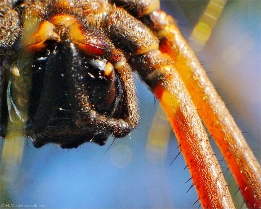 Studio-One.Art.br Repo Fotografia em Rio Preto SP/Brasil