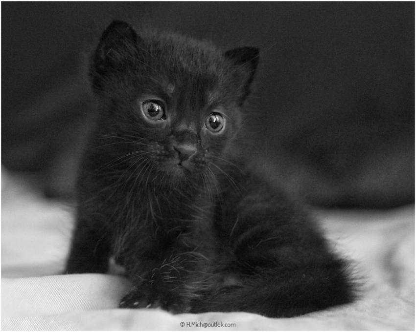 Studio-One.Art.br Repo Fotografia em Rio Preto SP/Brasil